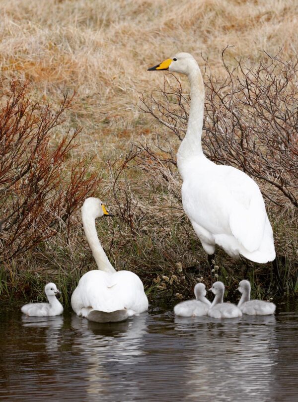 11EE1497-EECA-467F-AE53-69A575EE9CBC