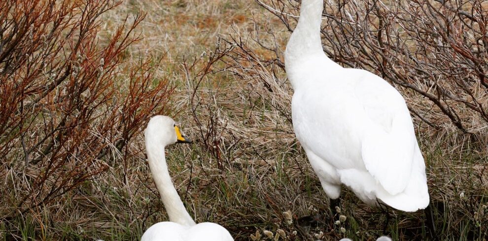 11EE1497-EECA-467F-AE53-69A575EE9CBC